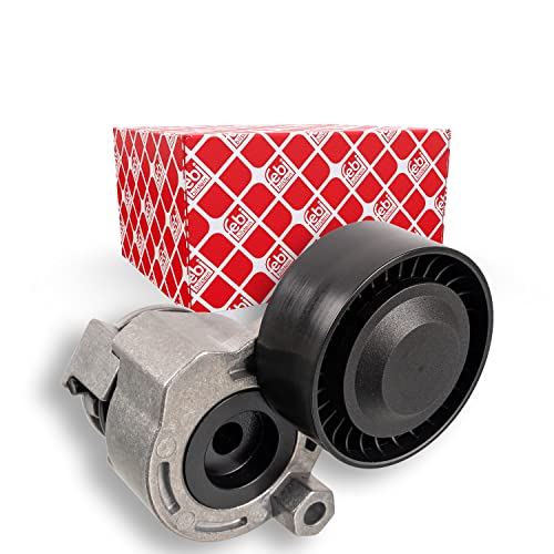 FEBI BILSTEIN 30159 Galet Tendeur RENAULT: GRAND SCENIC 2, Kangoo II Express, MEGANE 3, DACIA: Duster SUV, SANDERO I, NISSAN: MICRA 4 4027816301592