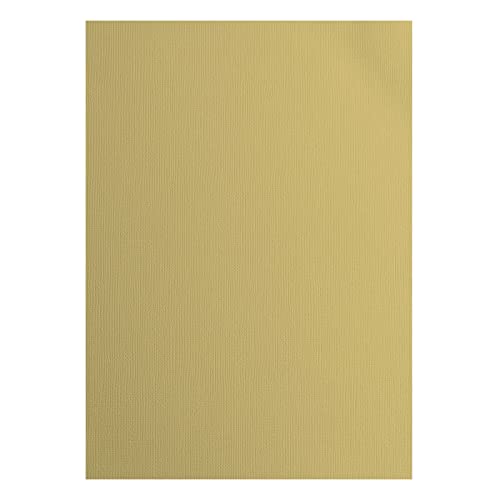 Florence Tonkartong Salamander beige pysselkartong A4 pysselpapper 10 x scrapbook papper för kort, pyssel, stansning och pappershantverk pysselset, textur 8716052218455