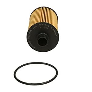 JAPANPARTS FO ECO122 Filtre à huile Cartouche filtrante JEEP: GRAND CHEROKEE 4, LANCIA: Thema Berline 8033001789607 JAPANPARTS FO ECO122 Filtre à huile Cartouche filtrante JEEP: GRAND CHEROKEE 4, LANCIA: Thema Berline 8033001789607