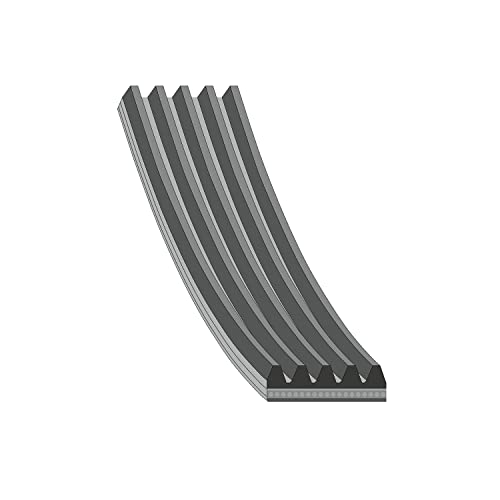 FEBI BILSTEIN 37531 V-ribbed rem - 5 ribber - 1 styck 4027816375319