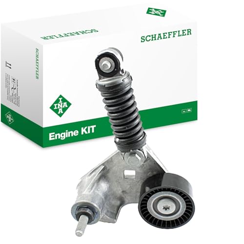 INA 534 0169 10 Tendeur, courroie trapézoïdale à nervures FORD: Transit Mk5 Сamion Plateau/Сhâssis, Van, JAGUAR: X Type Berline