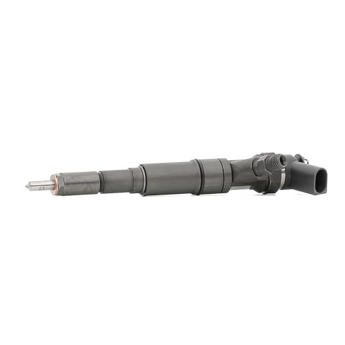 Bosch Spridare Common Rail 0 445 110 131 - BMW 3 Compact, X5, 5 Berline 3165143408926