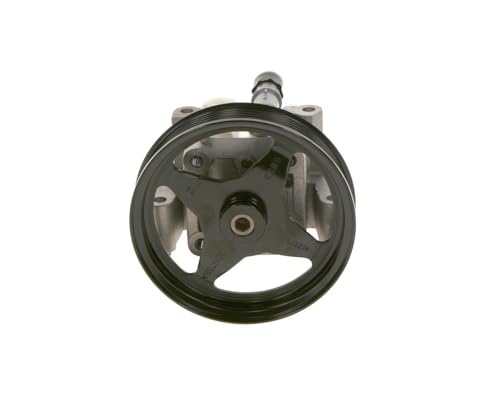 Bosch Styrservopump K S00 000 126 4047025441728