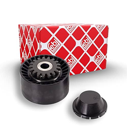FEBI BILSTEIN 30248 Galet Enrouleur RENAULT: CLIO 3, Modus / Grand Modus, TWINGO 2 4027816302483