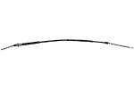 KAVO PARTS BHC 4080 Câble De Frein 1225 KIA: CARNIVAL 2 8715616123167 KAVO PARTS BHC 4080 Câble De Frein 1225 KIA: CARNIVAL 2 8715616123167