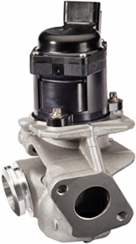 HELLA 6NU 010 171 121 Vanne EGR électrique avec joint d'étanchéite collier PEUGEOT: 207 3/5 portes, 206 SW, CITROËN: C3 II 4082300296419