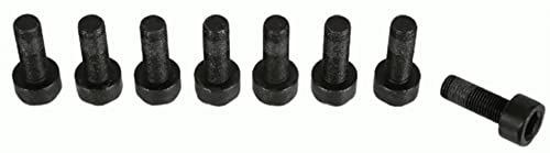8x SACHS Skruvsats, svänghjul 1874 000 066 4013872898008 8x SACHS Skruvsats, svänghjul 1874 000 066 4013872898008