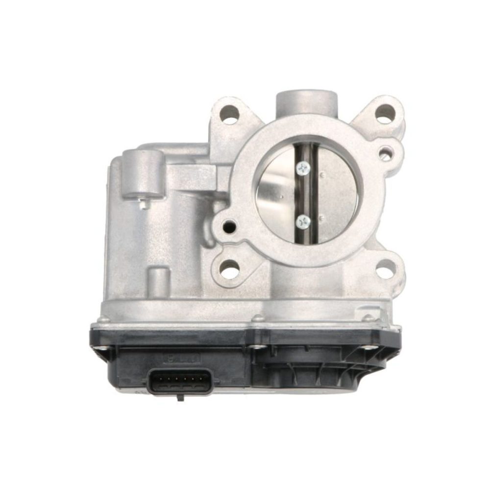 Gasreglage PIERBURG 7.03703.19.0 4028977684043