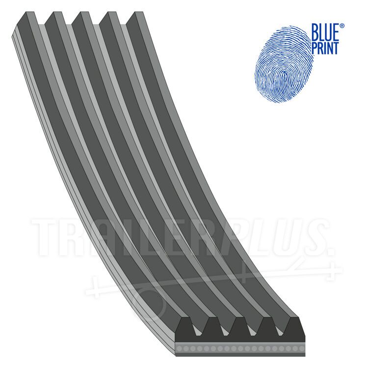 Blue Print AD05R884 Flerspårsrem Poly V 5-rib 5050063100235